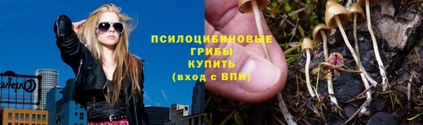 стафф Армянск