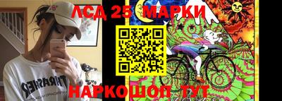 гашик Жуковский