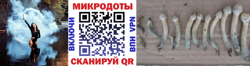 цена наркотик  Новодвинск  Псилоцибиновые грибы Cubensis 