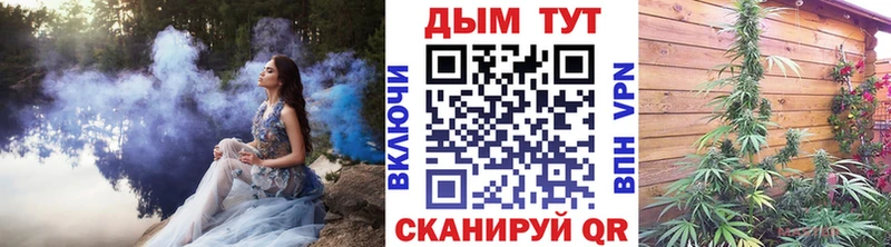 Бошки марихуана индика  Новодвинск 